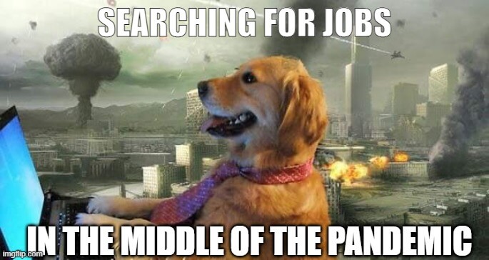 searching for jobs